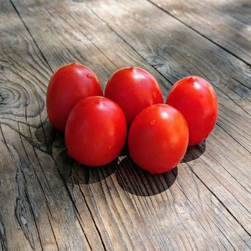 Quadro Tomato Quadro Tomato