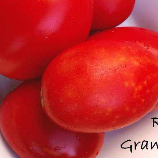 Rio Grande Tomato