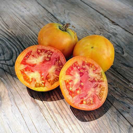 Pink Grapefruit Longkeeper Tomato