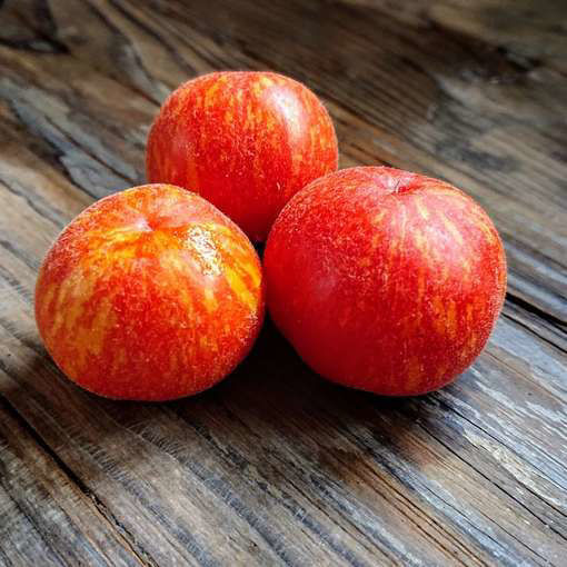 Elberta Peach Tomato
