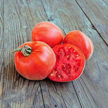Scheherazade Tomato Scheherazade Tomato