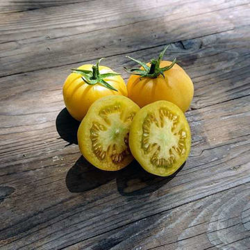 Wapsipinicon Peach Tomato Wapsipinicon Peach Tomato