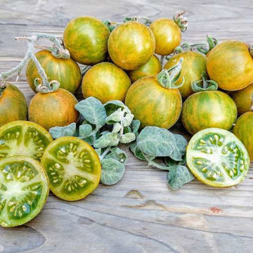 Woolly Green Zebra Tomato Woolly Green Zebra Tomato