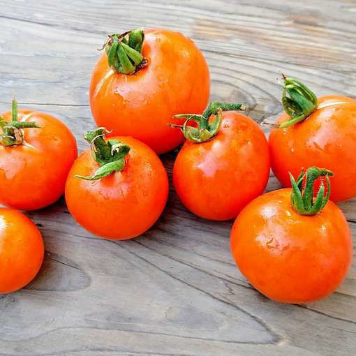 Apelsin Beefsteak Tomato
