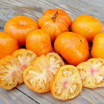 Azoychka Beefsteak Tomato Azoychka Beefsteak Tomato