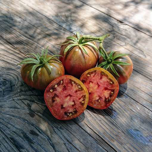 Black Seaman Beefsteak