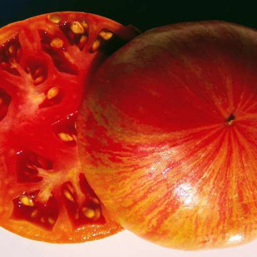 Chocolate Stripes Beefsteak Tomato Chocolate Stripes Beefsteak Tomato