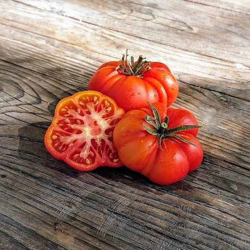 Chris’s Greek Mama Beefsteak Tomato