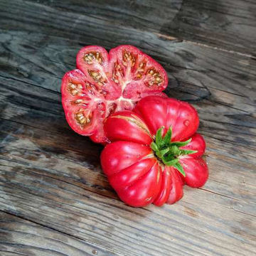 Corum Kirmizisi Beefsteak Tomato Corum Kirmizisi Beefsteak Tomato