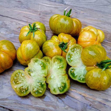 Glacial Zebra Beefsteak Tomato Glacial Zebra Beefsteak Tomato