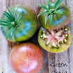 Green Copia Beefsteak Tomato