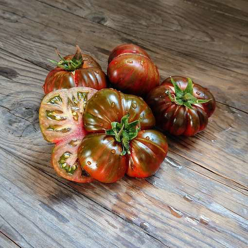 Hershey Boar Beefsteak Tomato