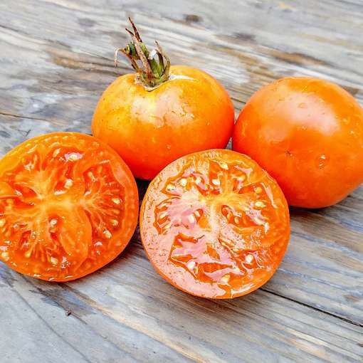 La Carotina Beefsteak Tomato