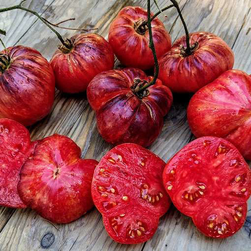 Lovely Lush Beefsteak Tomato Meraki Seeds