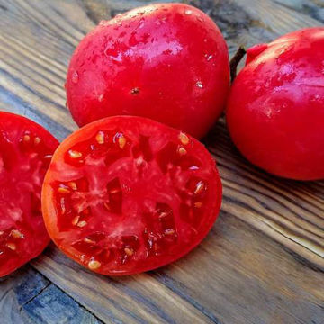 Malinowy 1955 Beefsteak Tomato Malinowy 1955 Beefsteak Tomato