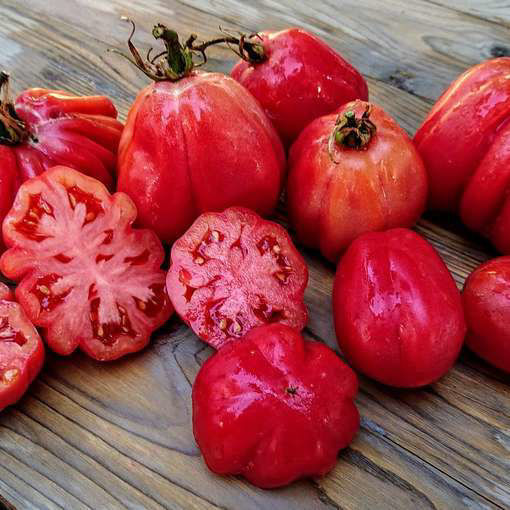 Pink Fig Beefsteak Tomato