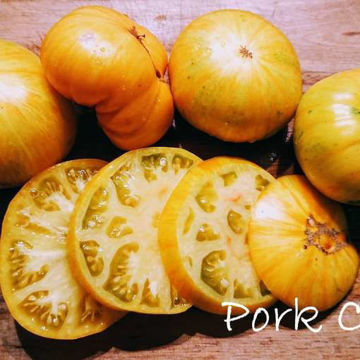 Pork Chop Beefsteak Tomato Pork Chop Beefsteak Tomato