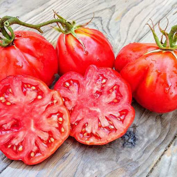 Red Fig Beefsteak Tomato Red Fig Beefsteak Tomato