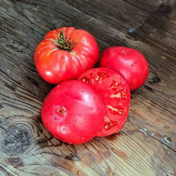 Sherry's Sweet Heart Beefsteak Tomato Sherry's Sweet Heart Beefsteak Tomato