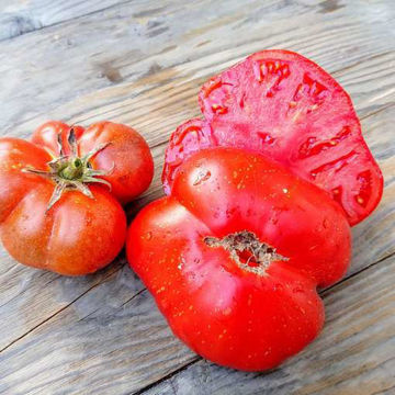 Strawberry Leopard Beefsteak Tomato Strawberry Leopard Beefsteak Tomato