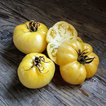 Sutton Beefsteak Tomato Sutton Beefsteak Tomato