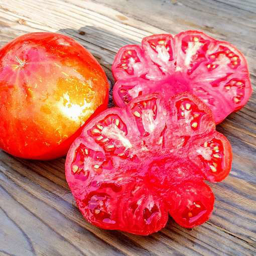 Tsar's Favorit Beefsteak Tomato