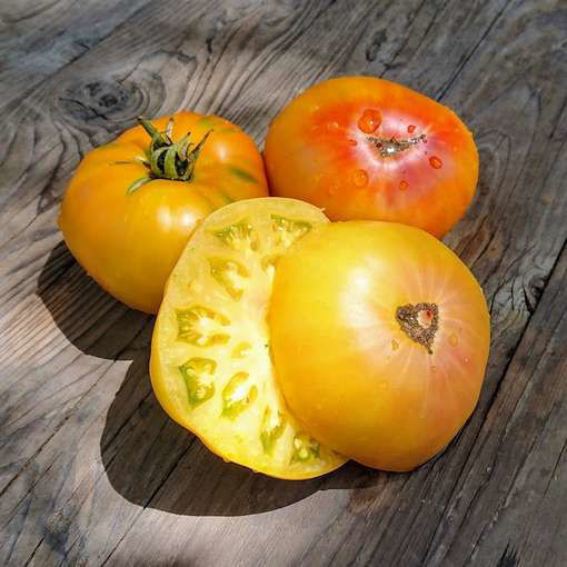Ananas Beefsteak Tomato