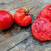 Andreevskiy Surprise Beefsteak Tomato