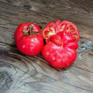 Babushkin Sekret Beefsteak Tomato