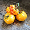 Bolshoy Limonnyi Beefsteak Tomato