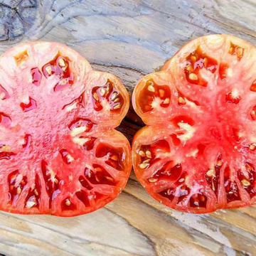 Carbon Beefsteak Tomato Carbon Beefsteak Tomato