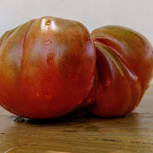 Carol Chyko's Big Paste Beefsteak Tomato
