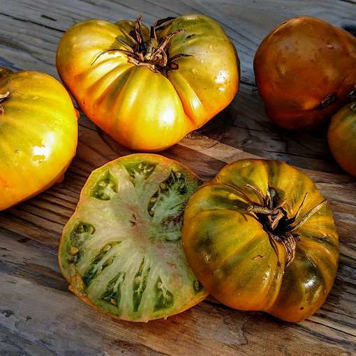 Cherokee Green Beefsteak Tomato