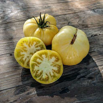 Cherokee White Beefsteak Tomato Cherokee White Beefsteak Tomato