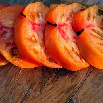 Copia Beefsteak Tomato Copia Beefsteak Tomato