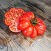 Costoluto Fiorentino Beefsteak Tomato