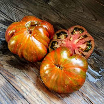 Dark Solar Flare Beefsteak Tomato Dark Solar Flare Beefsteak Tomato