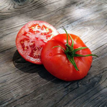 Delicious Beefsteak Tomato Delicious Beefsteak Tomato