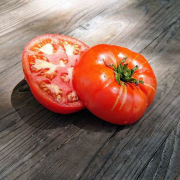 Dester Beefsteak Tomato Dester Beefsteak Tomato