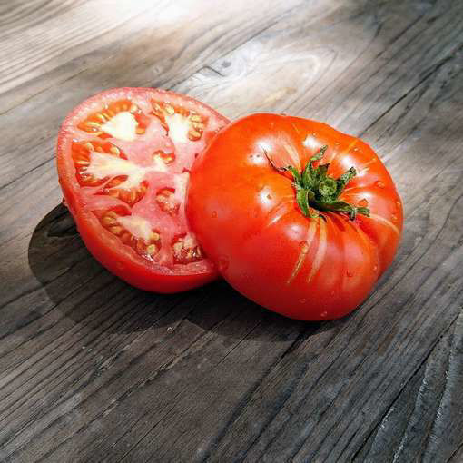 Dester Beefsteak Tomato