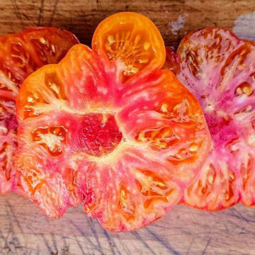 E.T. Tomato Beefsteak Tomato E.T. Tomato Beefsteak Tomato