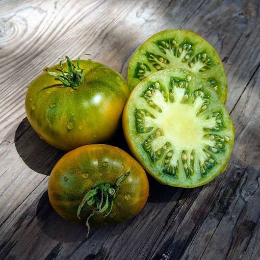Emerald Evergreen Beefsteak Tomato