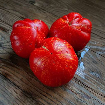 Granny Cantarell German Beefsteak Tomato-Meraki Seeds