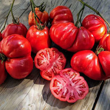 Franchi Red Pear Beefsteak Tomato Franchi Red Pear Beefsteak Tomato