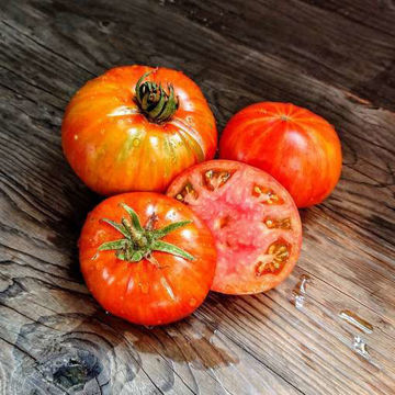 Golden Pineapple Beefsteak Tomato Golden Pineapple Beefsteak Tomato