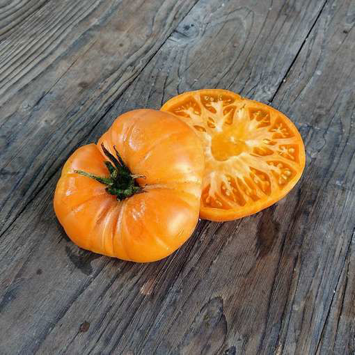 Goldie Beefsteak Tomato