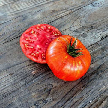 Henderson’s Winsall Beefsteak Tomato Henderson’s Winsall Beefsteak Tomato