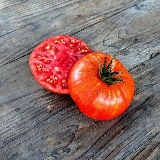 Henderson’s Winsall Beefsteak Tomato