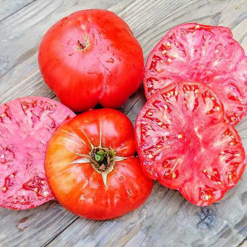 Ingegnoli Gigante Liscio Beefsteak Tomato