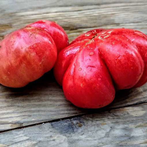 Kartofelny Malinovyi Beefsteak Tomato